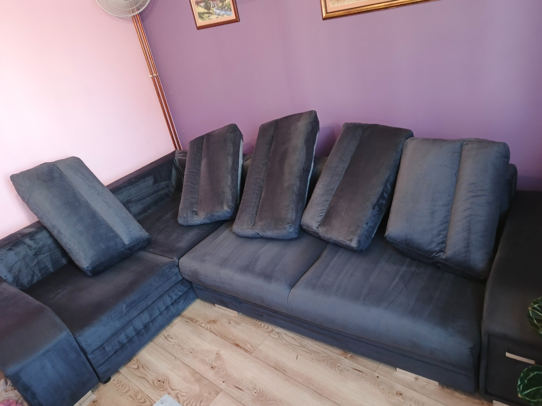 Szara, narożna kanapa z poduszkami na drewnianej podłodze, sfotografowana pod kątem. Widoczne obrazy na ścianie i wentylator sufitowy.