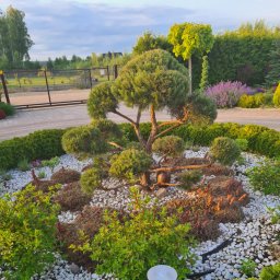 Ogrodnik Olsztyn - avatar