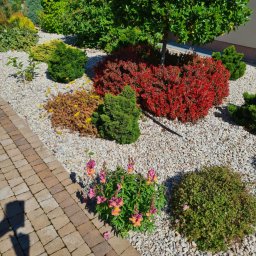 Koszenie trawy Nidzica 2