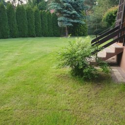 Sadzenie drzew i krzewów Nidzica