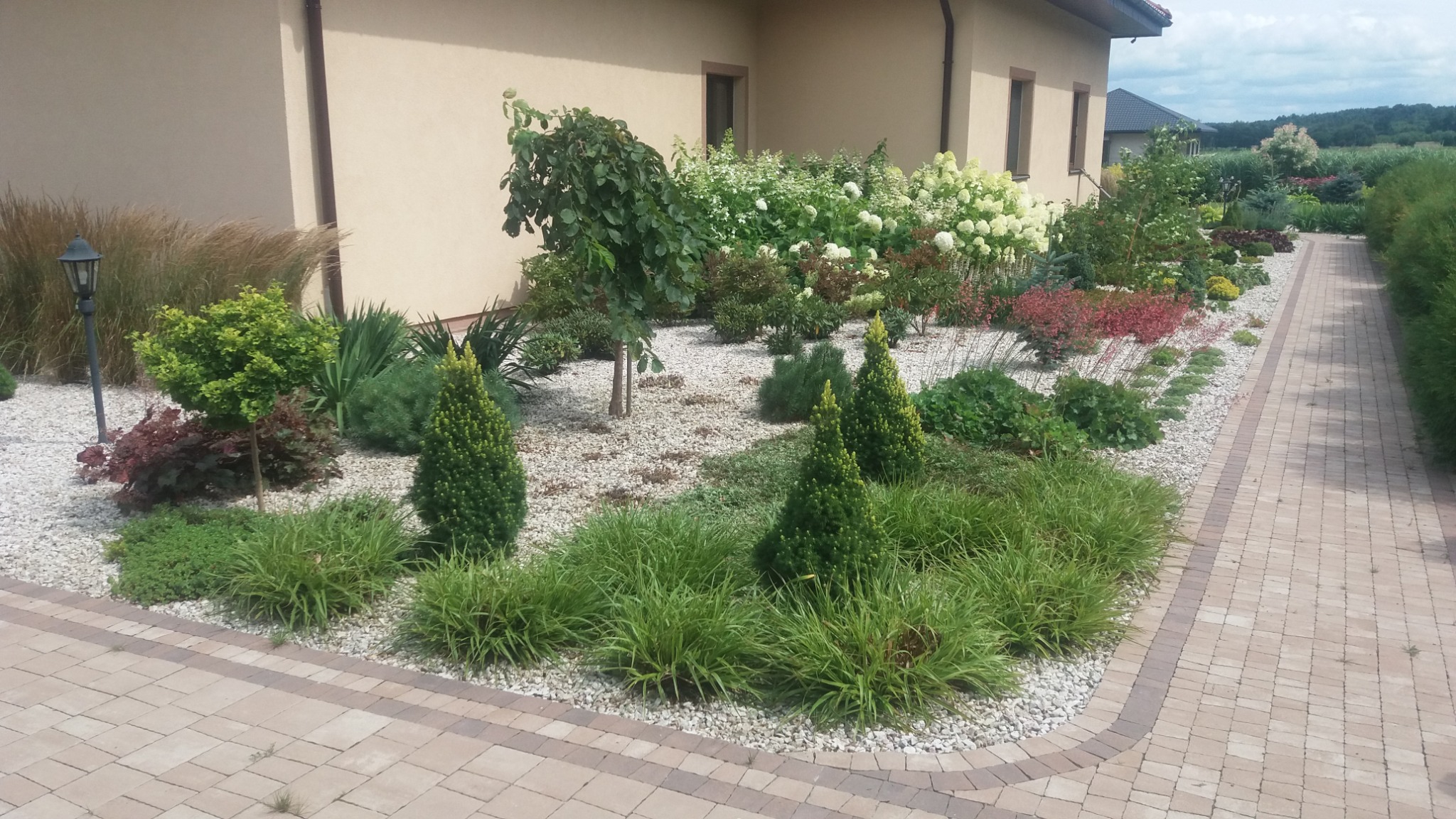 Aranżacja ogrodu z ozdobnymi krzewami i trawami na białym żwirze, obok budynku z beżową elewacją i brukowanym chodnikiem.