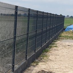 Montaż ogrodzeń Pakość 1