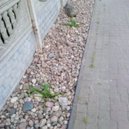 Ogródek skalny z kamieniami i roślinami ozdobnymi wzdłuż betonowego płotu i chodnika z kostki brukowej. Elementy architektury krajobrazu.