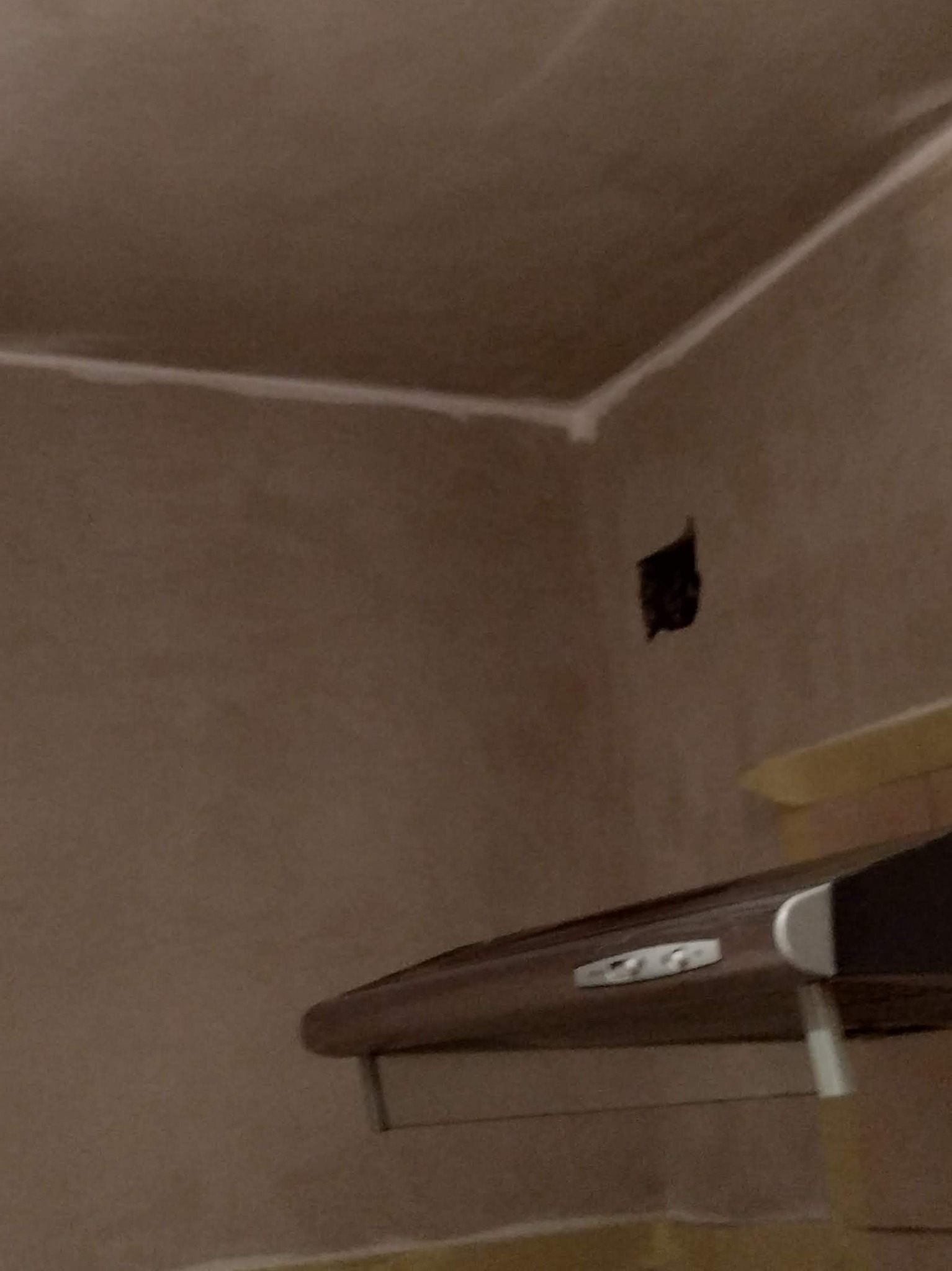 Ściana po nałożeniu gładzi, widoczny otwór na gniazdko elektryczne i fragment okapu kuchennego. Białe wykończenie narożników.