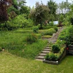 Stan przed realizacją — gęsta zieleń, skarpy, schody, nierówny teren. Wyzwanie przyjęte 💪