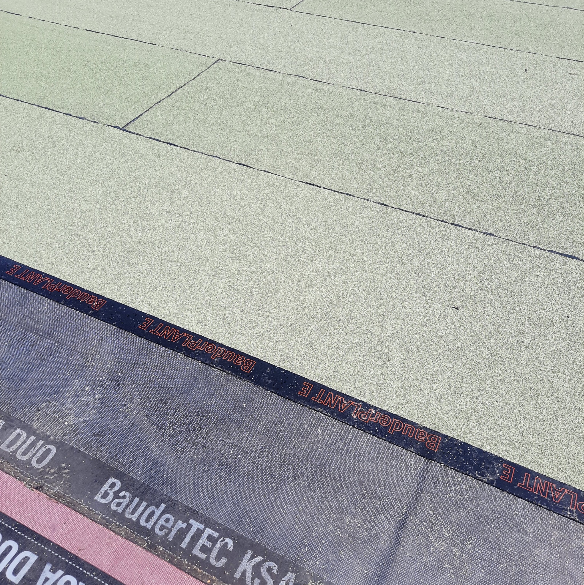 arzewalną gzomret apaP