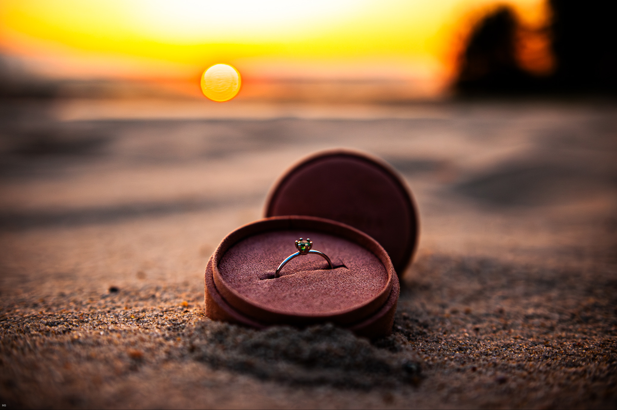 Fotografia z sesji zaręczynowej