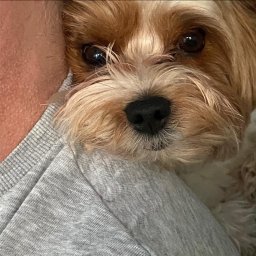 Maciej Sujko - Usługi Remontowe Łódź