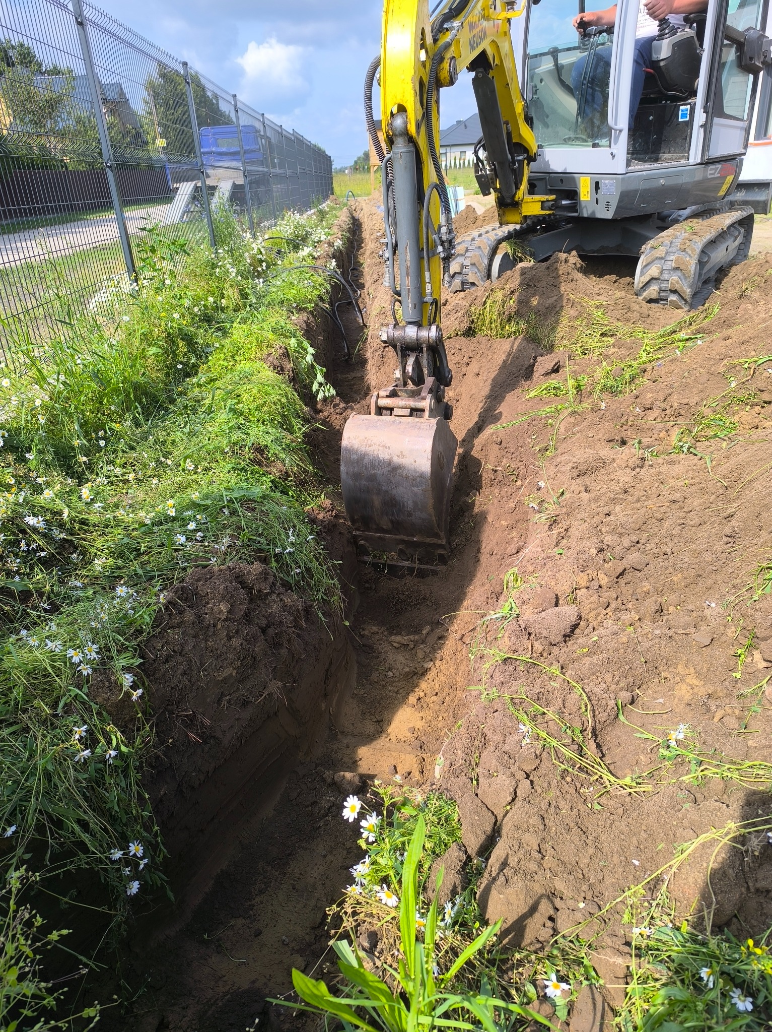 Żółta koparka Wacker Neuson wykopuje wąski rów w ziemi, obok rosną kwiaty, w tle ogrodzenie z siatki. Widok z góry na wykop.