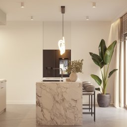 CM Studio - Nowoczesna kuchnia z marmurową wyspą, minimalistycznym oświetleniem i dużym oknem z zasłonami. Roślina doniczkowa dodaje naturalnego akcentu.