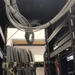 Wnętrze szafy serwerowej z uporządkowanymi kablami i zamontowanym sprzętem. Widoczne kable spięte opaskami i urządzenia sieciowe z diodami sygnalizacyjnymi.