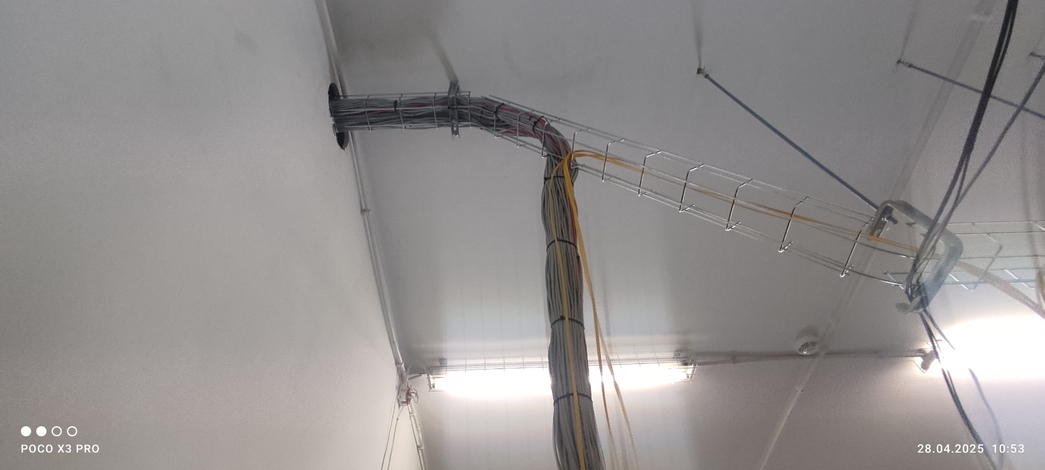 Koryto kablowe z przewodami pod sufitem w Przypkach. Widoczne mocowania i wiązka kabli. Instalacje elektryczne w obiekcie przemysłowym.