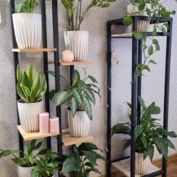 TobiWelding - Dwie metalowe półki na kwiaty w salonie. Na półkach rośliny doniczkowe w białych osłonkach, świeczki i dekoracje. W tle ściana w jasnym kolorze i drewniana podłoga.