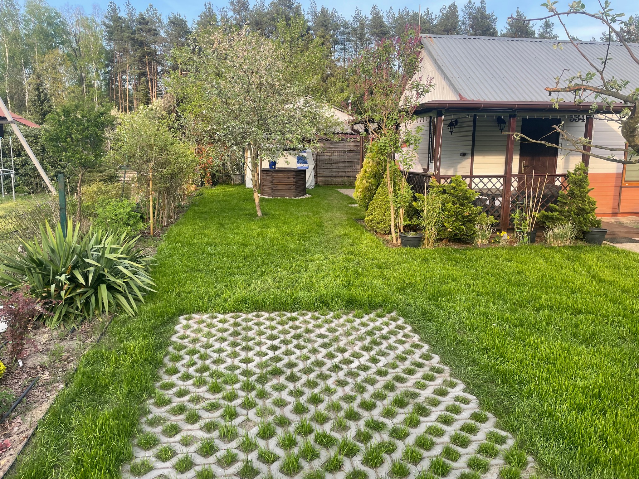 Zadbany ogród przydomowy z równo przystrzyżonym trawnikiem, drzewami owocowymi i ażurowymi płytami, prowadzącymi do studni. W tle widoczny dom z werandą.