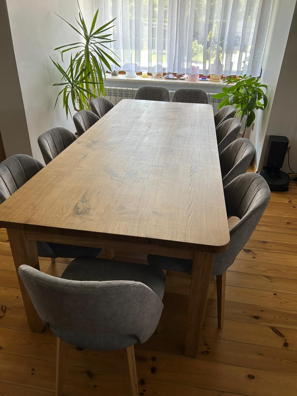 Jasny, drewniany stół jadalny otoczony szarymi krzesłami w słonecznym wnętrzu. W tle okno z białymi zasłonami i rośliny doniczkowe, tworzące przytulną atmosferę.