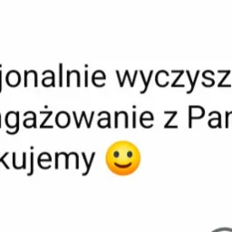 Tekstowa opinia klienta z datą 19 gru 2024, chwaląca dokładne i profesjonalne wyczyszczenie kanapy i krzesła, wyrażająca zadowolenie i podziękowanie.