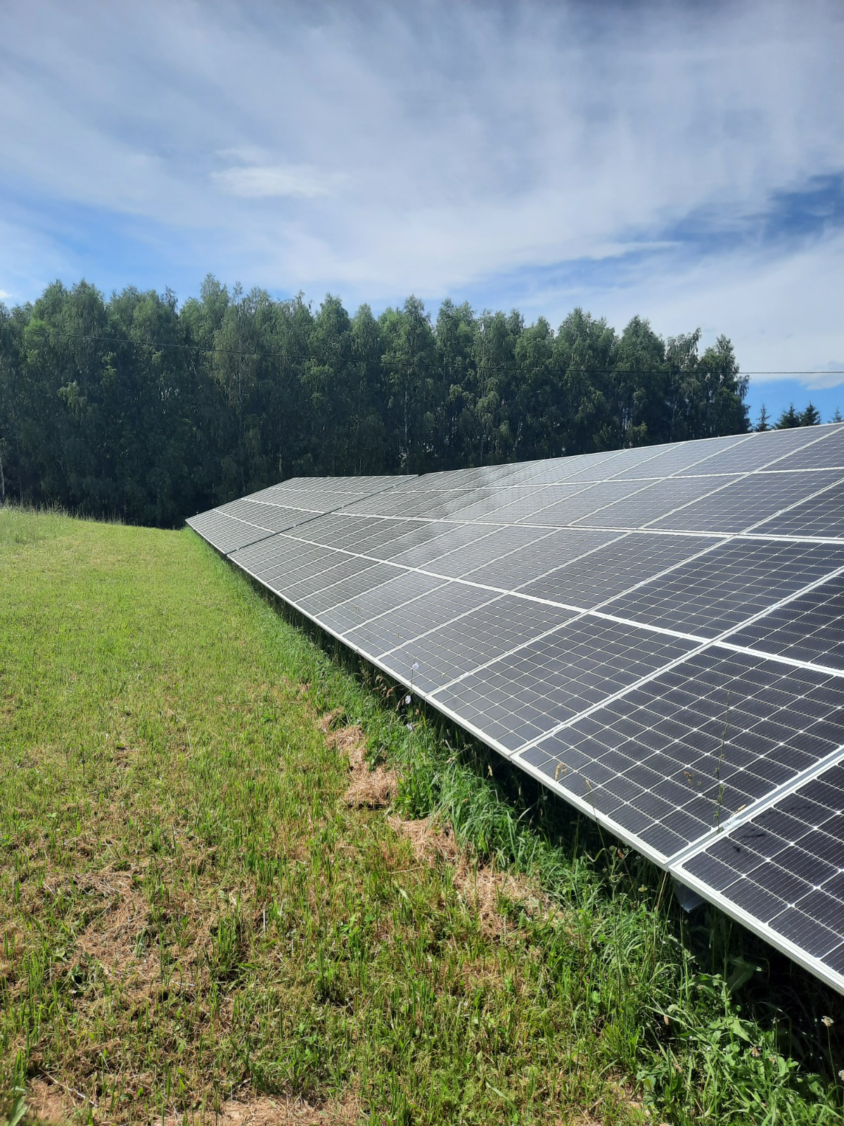 Rząd paneli fotowoltaicznych na łące, w tle las pod błękitnym niebem. Panele ustawione równo, widać ich strukturę i odbicia nieba. Trawa wokół częściowo skoszona.