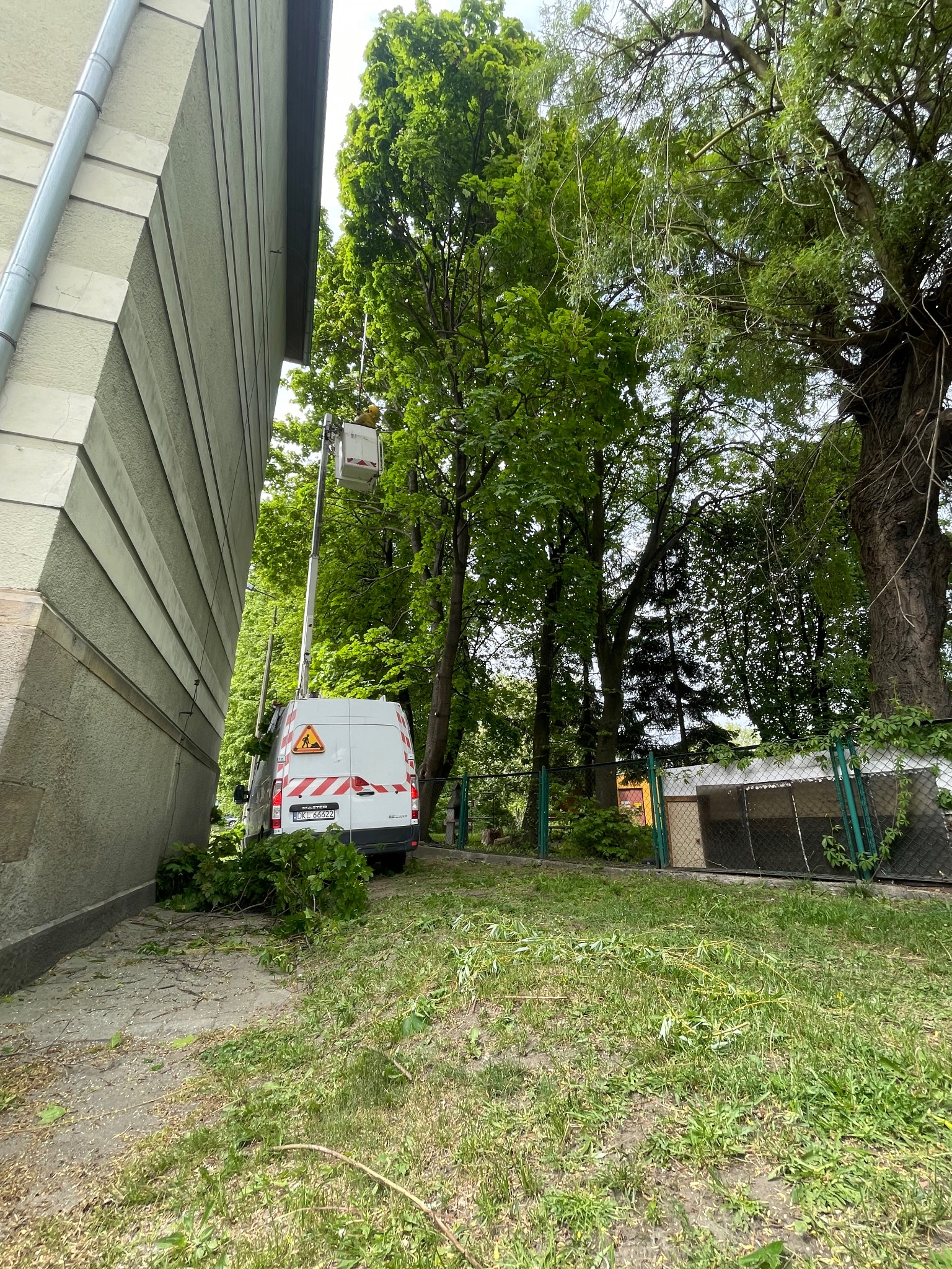 Przycinanie drzew z podnośnika koszowego obok budynku. Na ziemi leżą obcięte gałęzie. Biały samochód z wysięgnikiem i znakiem ostrzegawczym.