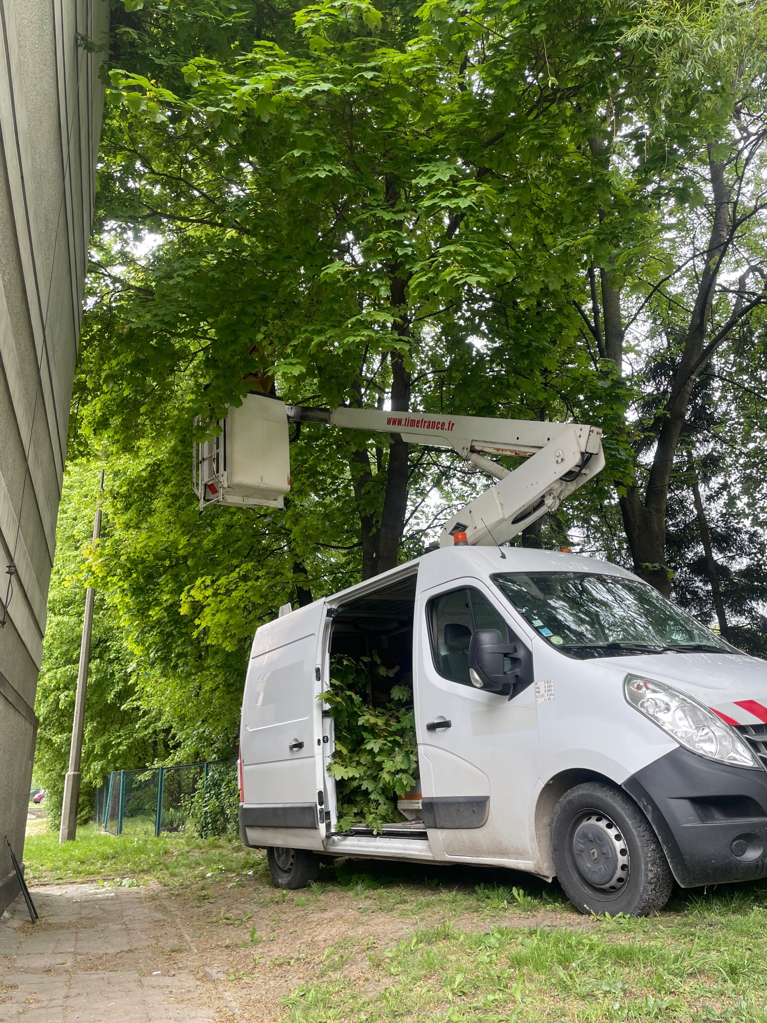 Prace przy drzewie z użyciem podnośnika koszowego. Biały van z otwartymi drzwiami wypełniony gałęziami, na tle zieleni drzew i fragmentu budynku.