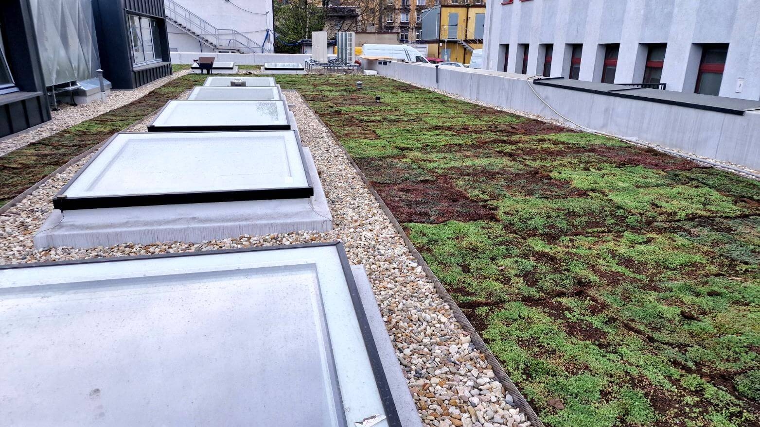Ekstensywny zielony dach z oknami dachowymi i żwirowymi obwódkami na nowoczesnym budynku. Roślinność w odcieniach zieleni i brązu, widok z góry.