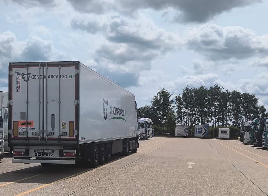 Biała naczepa Schmitz z logo Genomarcargo.eu na parkingu, widok z tyłu, tablica rejestracyjna KZ 118JH. W tle drzewa i inne ciężarówki.