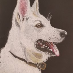 Malarstwo artystyczne Ottobeuren  2