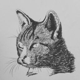 Malarstwo artystyczne Ottobeuren  4