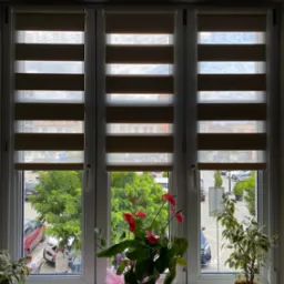 Zasłonięte okno trzema roletami dzień-noc w kolorze beżowym. Na parapecie stoją dwie doniczki z kwiatami. Za oknem widok na parking i zieleń.