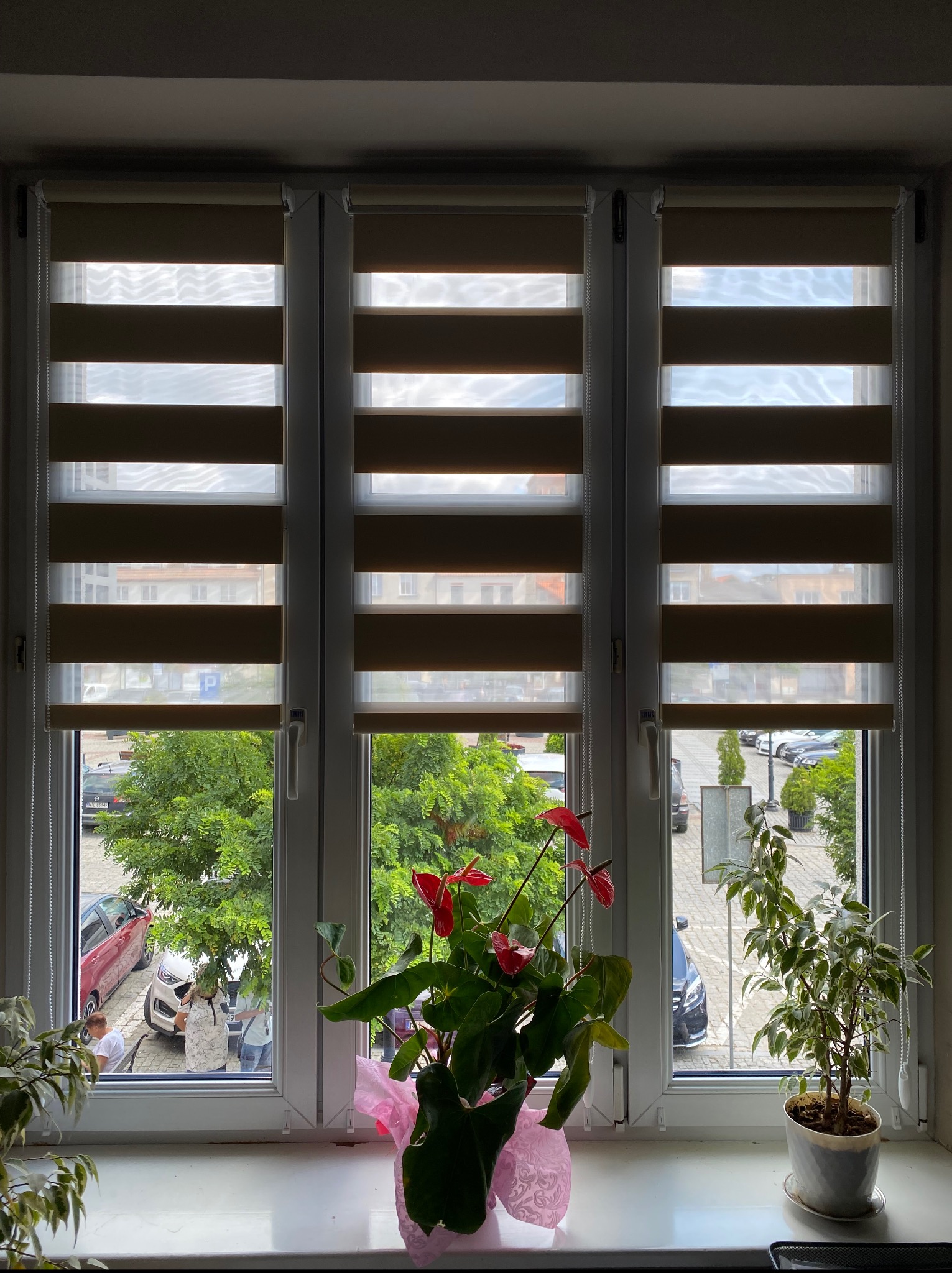Zasłonięte okno trzema roletami dzień-noc w kolorze beżowym. Na parapecie stoją dwie doniczki z kwiatami. Za oknem widok na parking i zieleń.