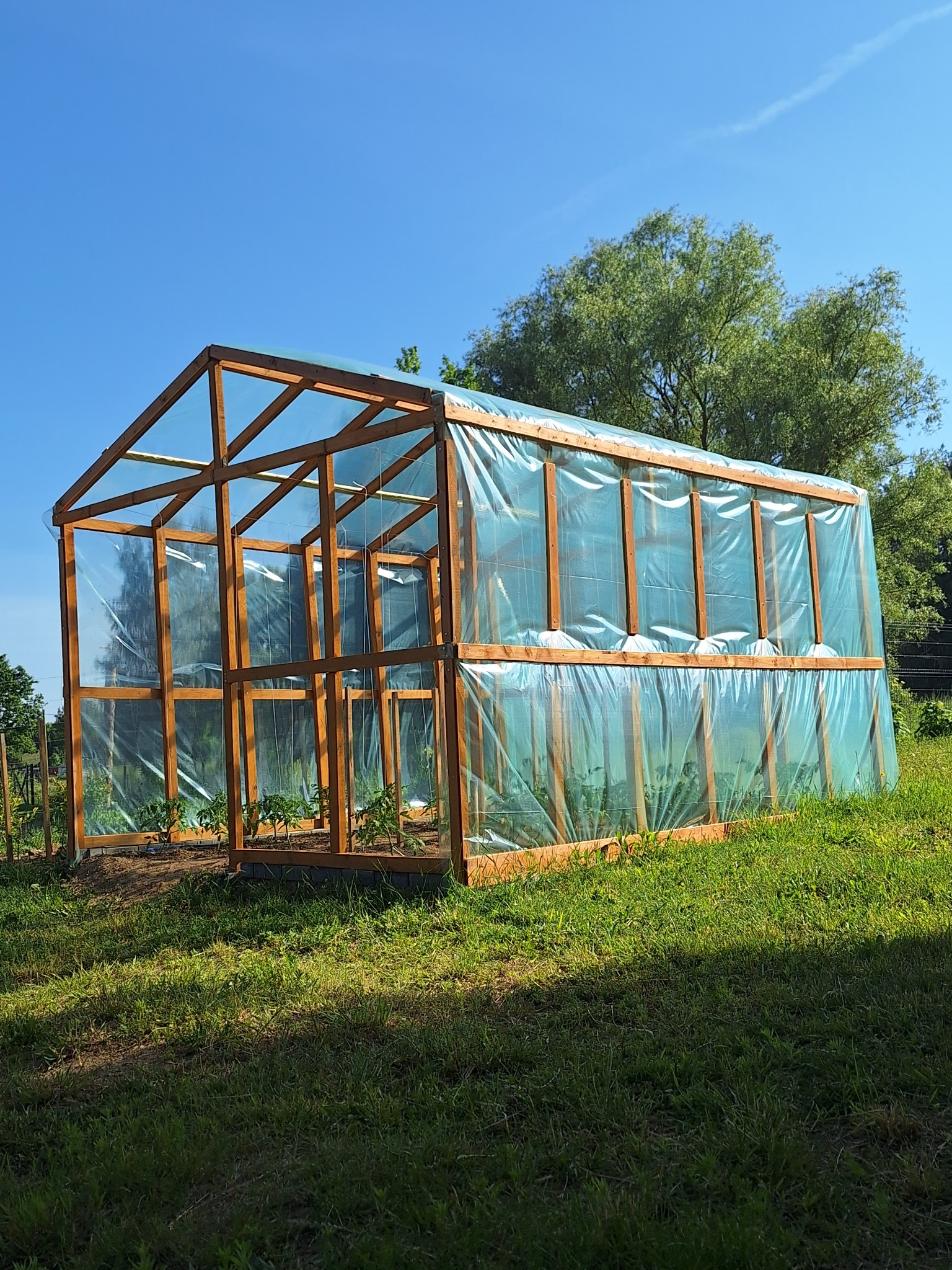 Drewniana szklarnia z folią na trawniku w słoneczny dzień. Wewnątrz widoczne sadzonki. Konstrukcja nowa, z elementami mocującymi folię. Tło: błękitne niebo i zieleń drzew.