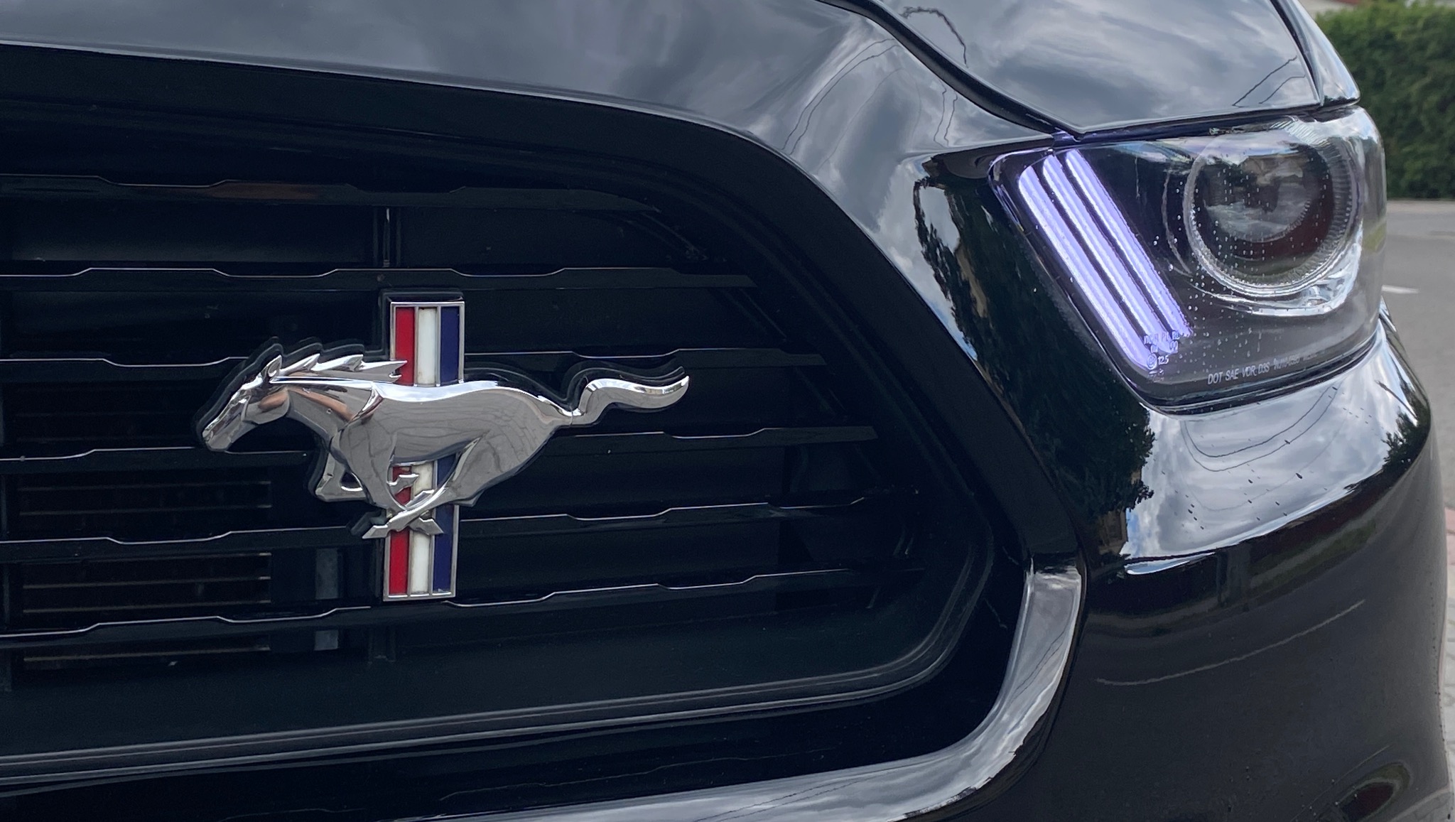 Czarny samochód z chromowanym logo konia i podświetlanymi reflektorami, widok z przodu na detal grilla i lampy.