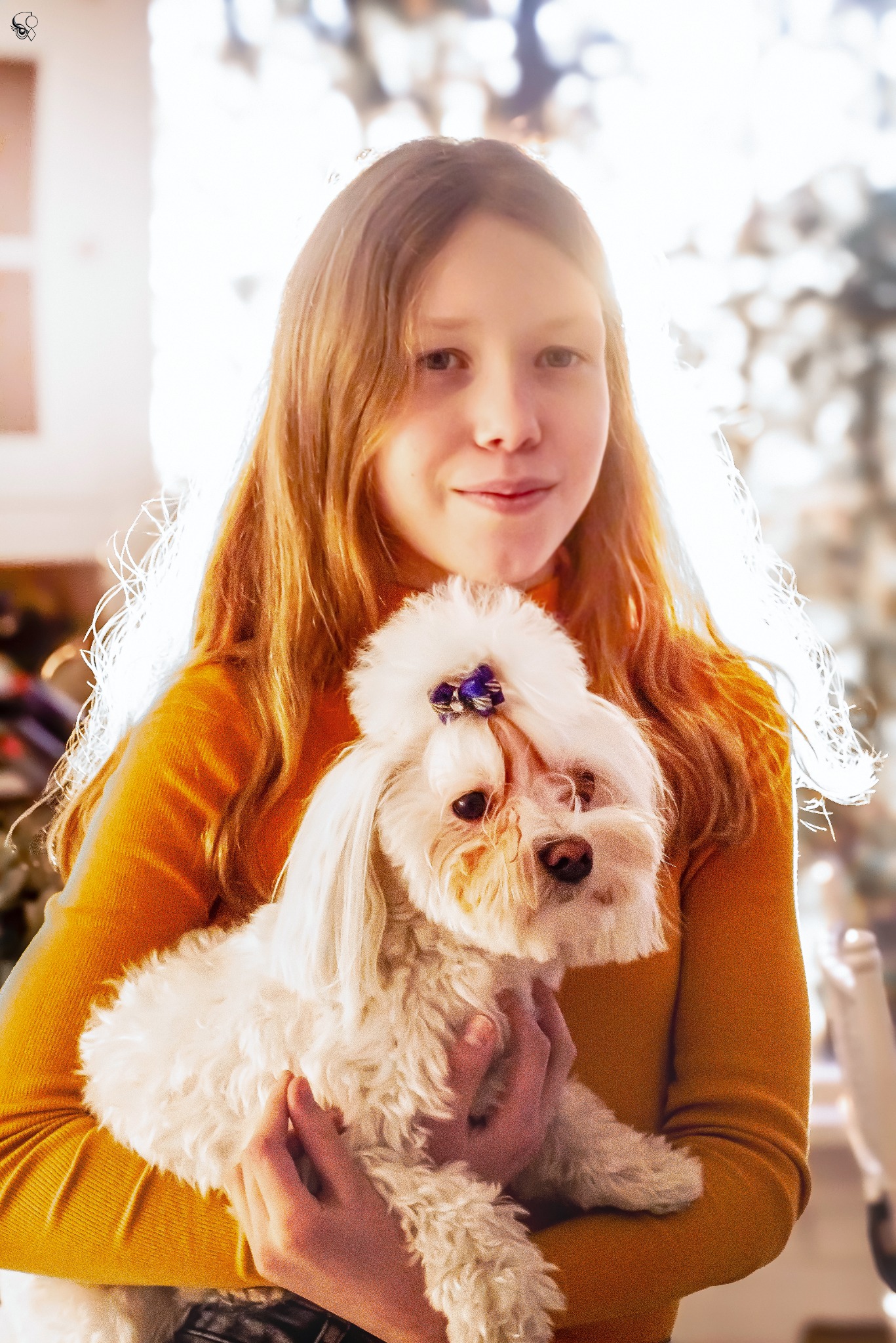 Portret dziewczynki w pomarańczowym swetrze trzymającej na rękach białego pieska rasy Maltańczyk z fioletową kokardą na głowie, w tle rozmyte światło.