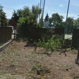 Rataj - Teren po wycince drzew w Poznaniu: usunięte gałęzie, owoce na ziemi, widoczny fragment siatki ogrodzeniowej i czarny worek na odpady. Prace porządkowe.