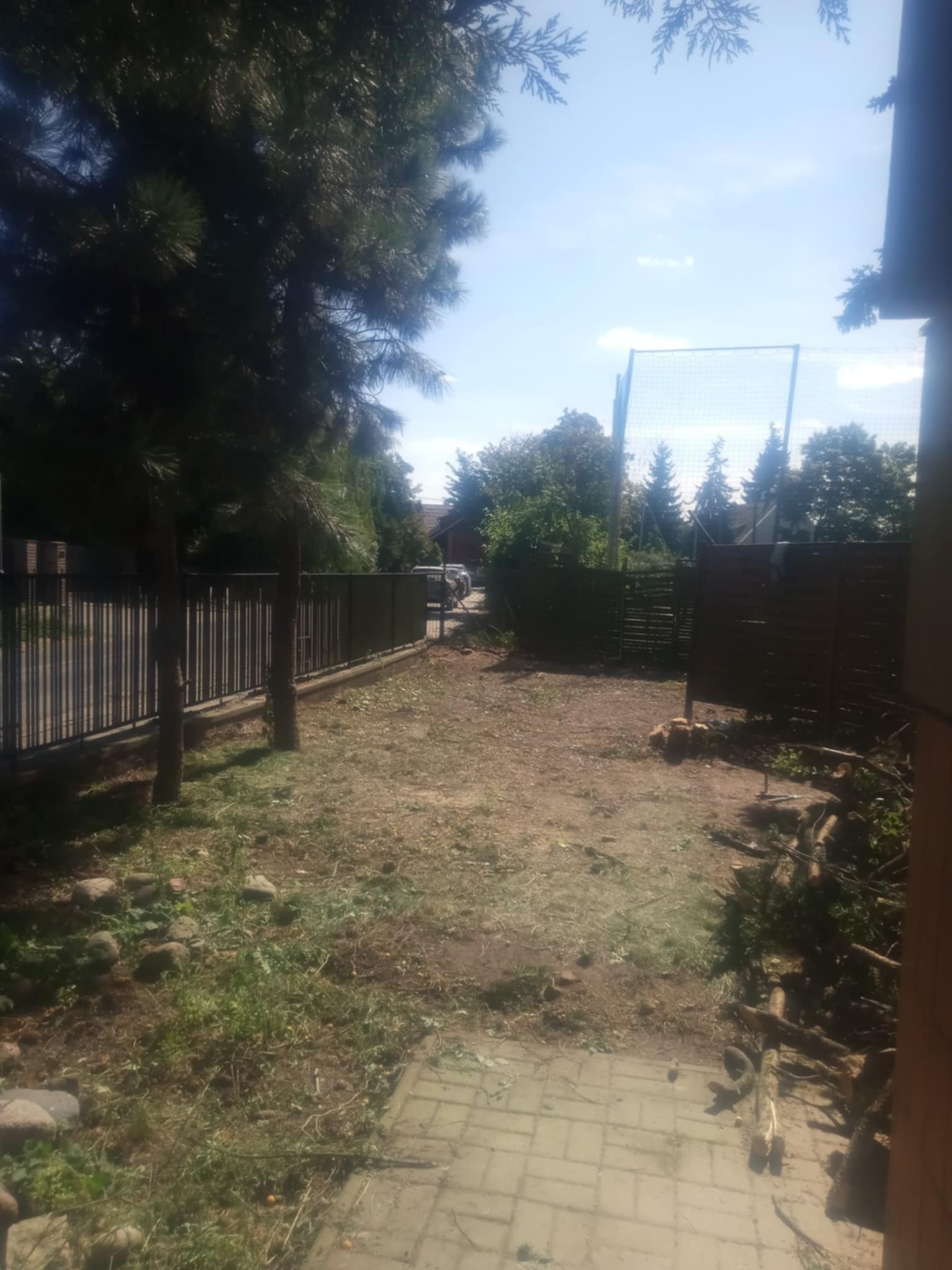 Teren po wycince drzew i krzewów, widoczne pnie, gałęzie, częściowo wyrównana ziemia, w tle siatka ogrodzeniowa i drzewa. Ujęcie z perspektywy chodnika.