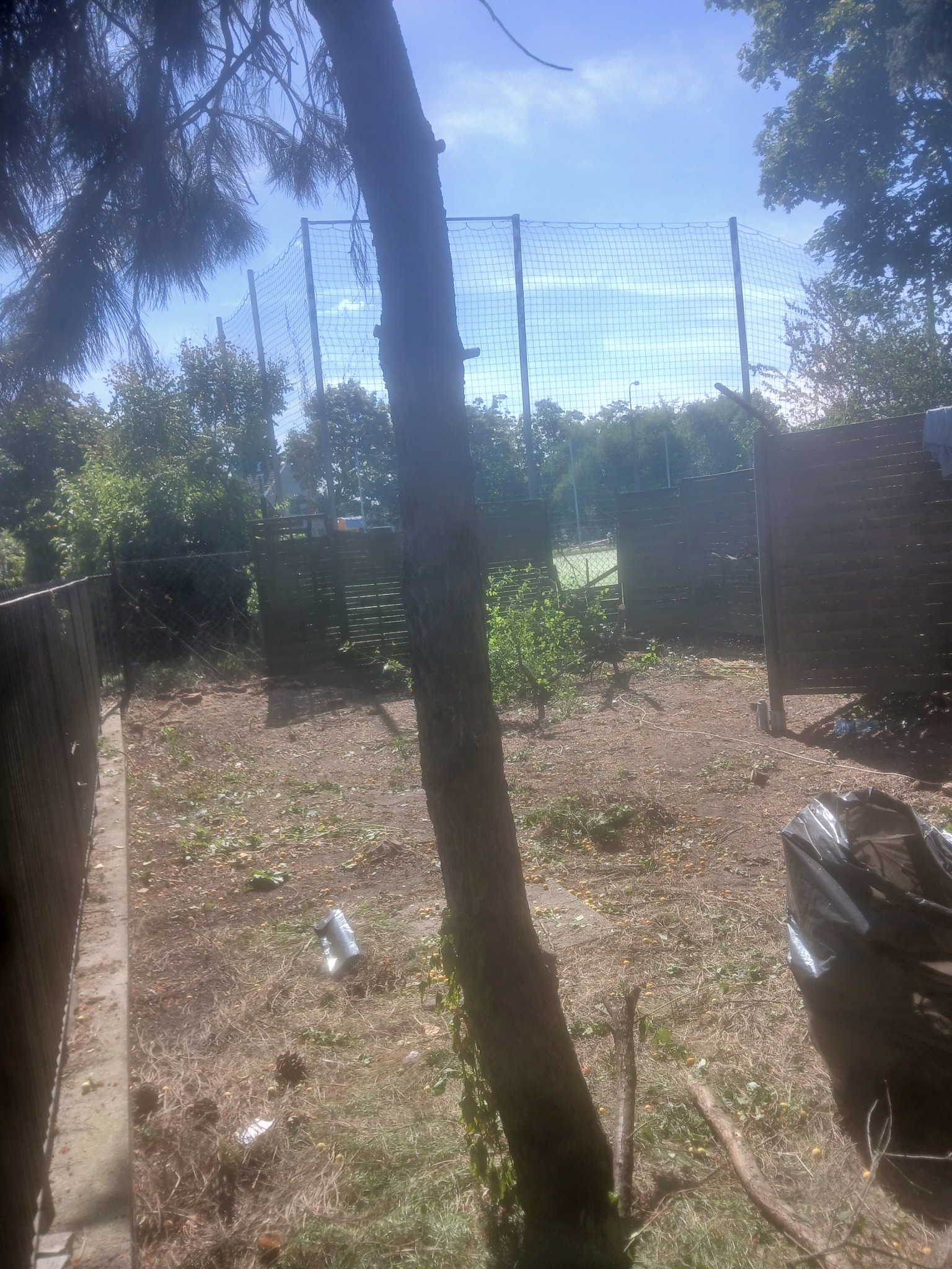 Teren po wycince drzewa z widocznym pniem, gałęziami i śladami po liściach na ziemi. W tle ogrodzenie z siatki i zieleń. Widoczne śmieci.