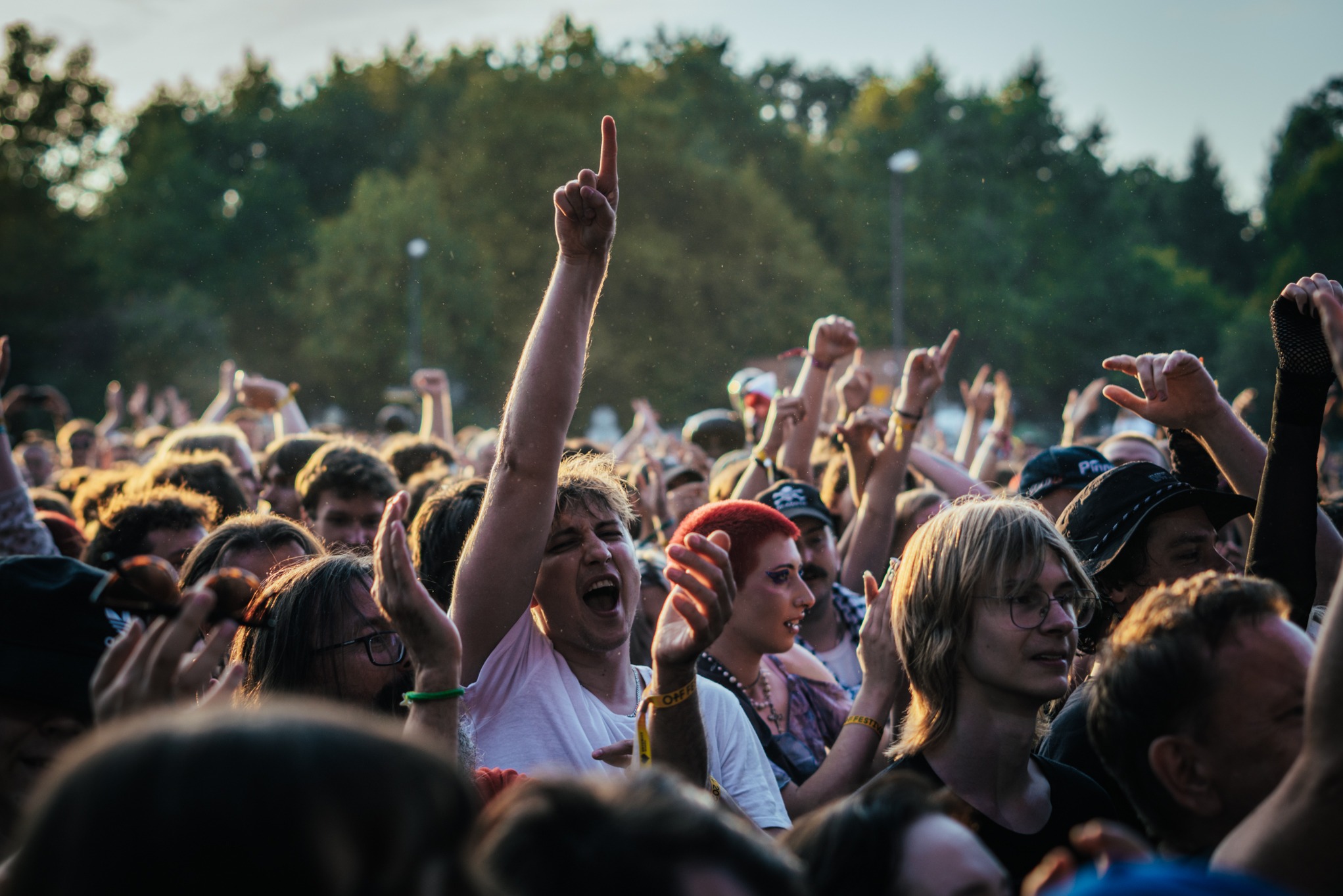 Rozentuzjazmowany tłum na festiwalu muzycznym, z podniesionymi rękami i ekspresyjnymi twarzami, w ciepłym, zachodzącym słońcu. Widoczne drzewa w tle.