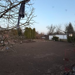 Trawa z rolki Gniezno 4