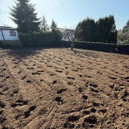 GARDEN BOYZ - Przygotowany teren pod trawnik z widocznymi śladami po bronowaniu, drzewo w tle i żywopłot. Słoneczny dzień.