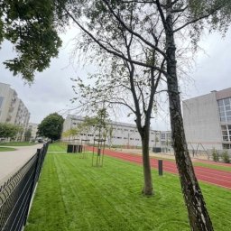 Trawa z rolki Gniezno 1