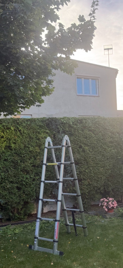 Rozstawiona drabina teleskopowa na trawniku przed wysokim, równo przyciętym żywopłotem. W tle dom z oknem i drzewo liściaste. Słoneczny dzień.