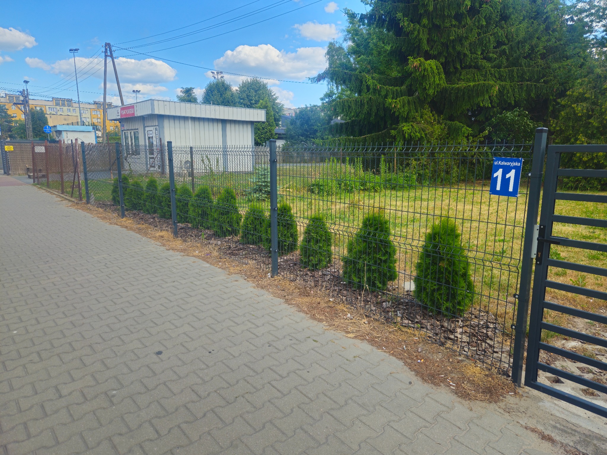 Nowoczesne ogrodzenie panelowe z bramką, zdobiące posesję z numerem 11 przy ulicy Kalwaryjskiej, otoczone tujami i zielenią. Błękitne niebo w tle.