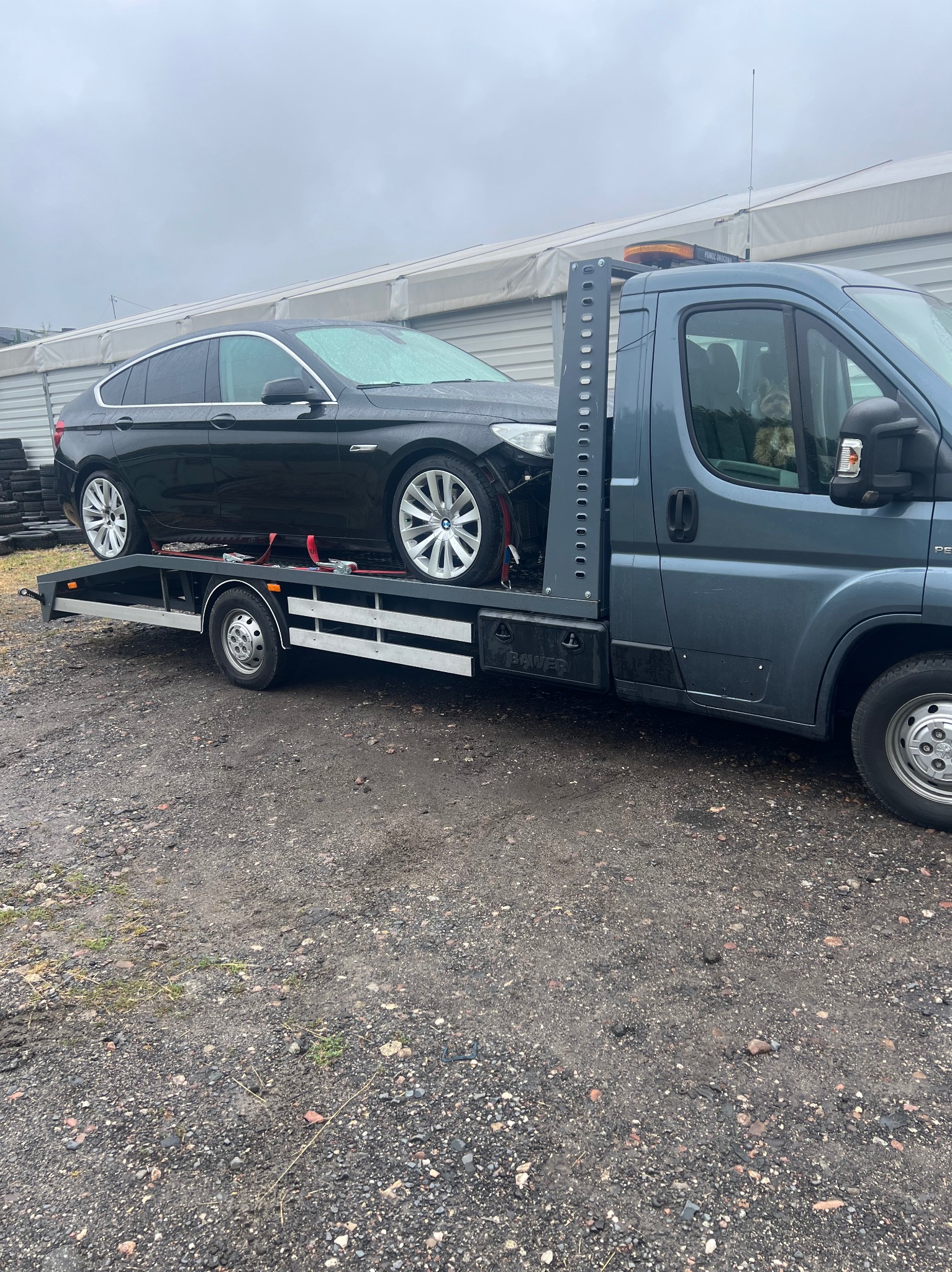 Uszkodzony, czarny samochód BMW na platformie lawety w pochmurny dzień. Widoczny fragment budynku w tle i opony. Pomoc drogowa z psem w kabinie.