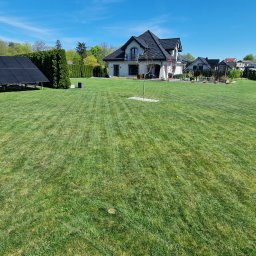 Koszenie trawy Lębork 2