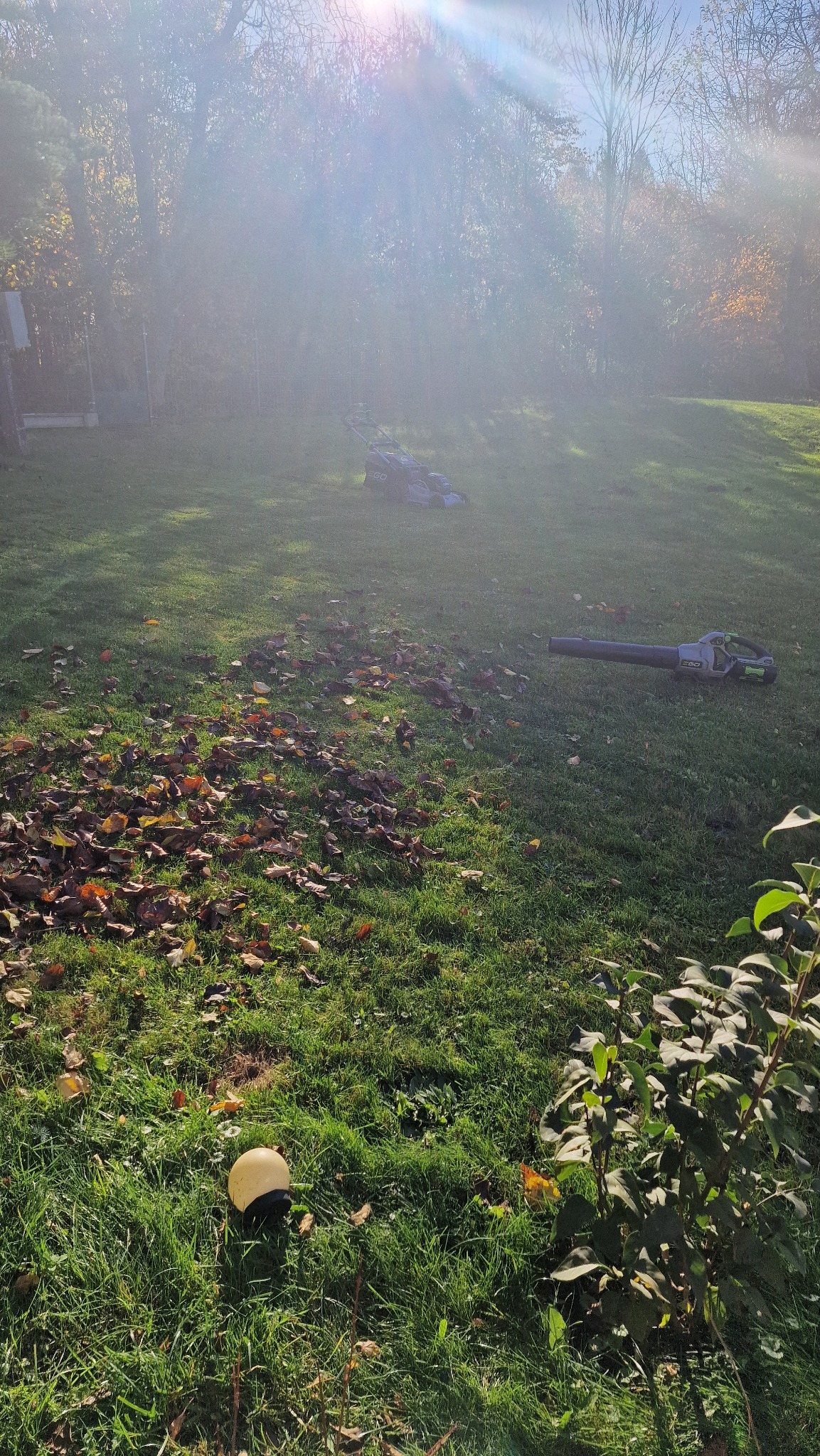 Jesienne porządki w ogrodzie: kosiarka elektryczna i dmuchawa do liści na trawniku z opadłymi liśćmi, podświetlone przez słońce.