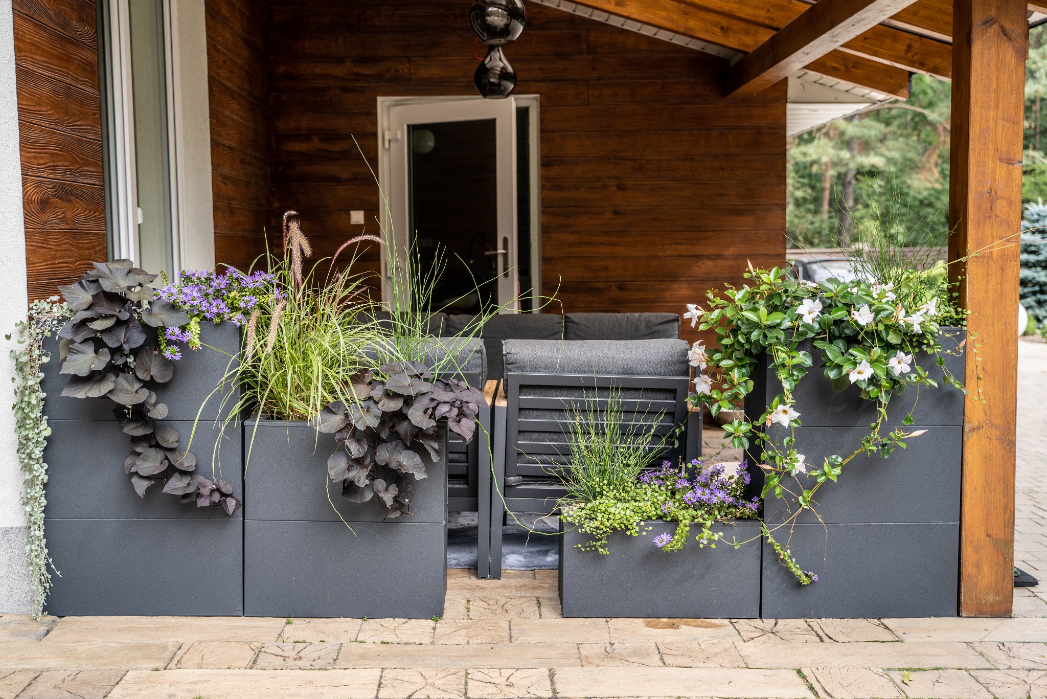 Nowoczesne, szare donice modułowe z różnorodną roślinnością, w tym pnącza i fioletowe kwiaty, zdobią taras z drewnianą konstrukcją i meblami ogrodowymi.