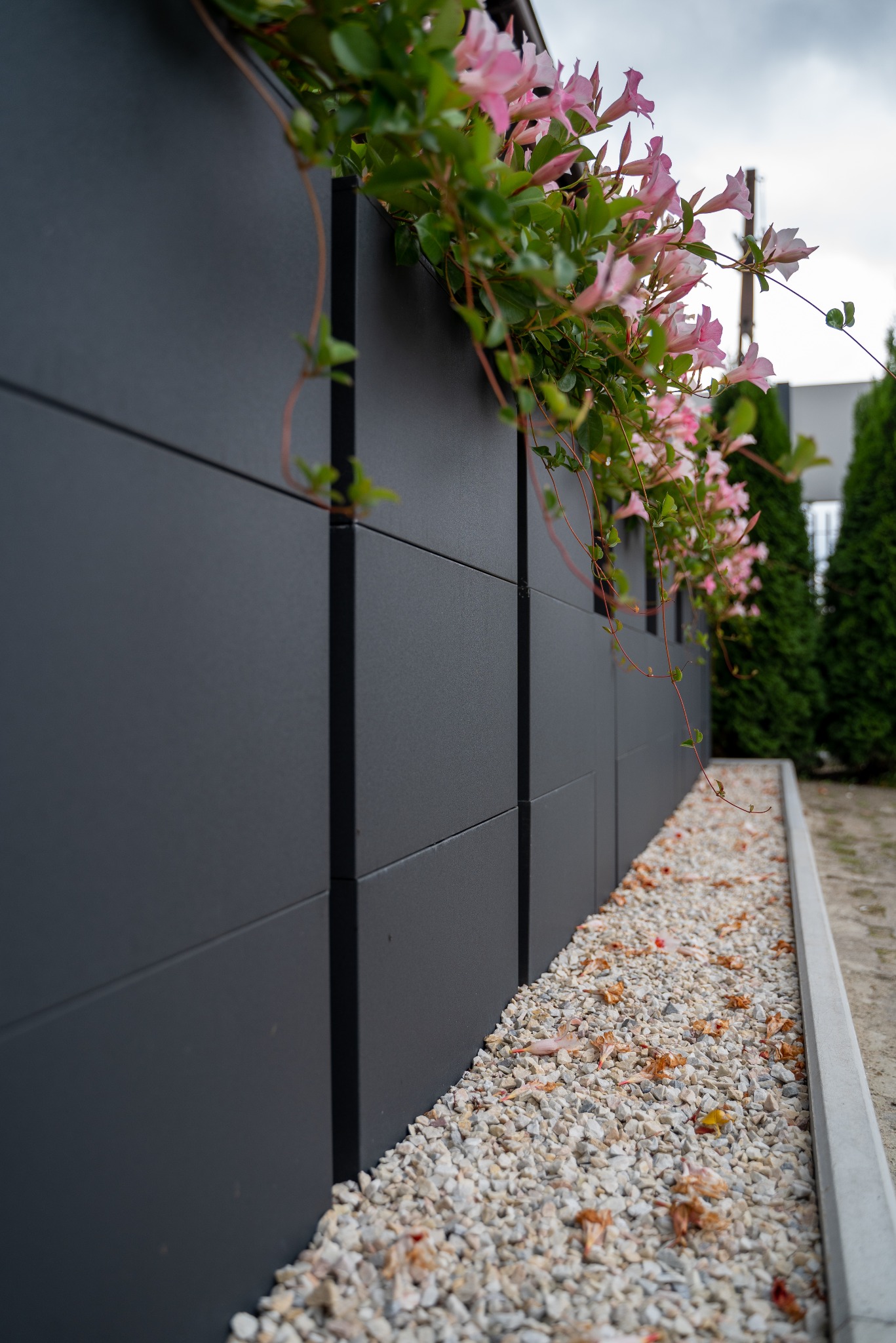 Nowoczesne, grafitowe ogrodzenie z paneli, ozdobione pnącymi różowymi kwiatami, otoczone białym żwirem. Widok z dołu podkreśla minimalistyczny design.