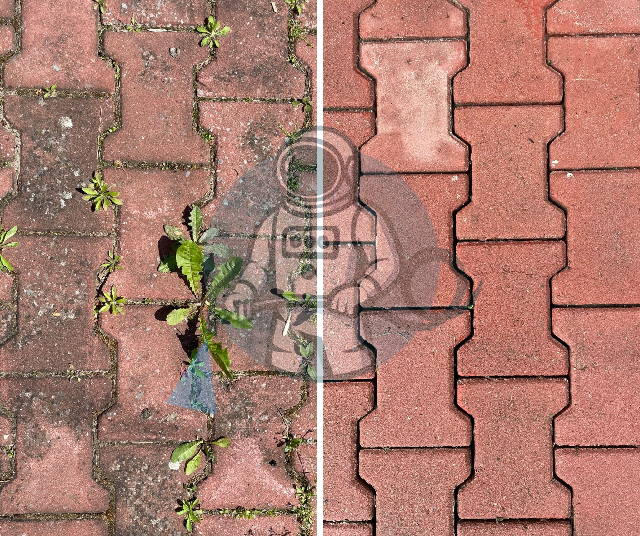 Efekt przed i po: Czerwona kostka brukowa, lewa strona z mchem i chwastami, prawa strona czysta i odświeżona. Widoczna różnica w kolorze i strukturze.