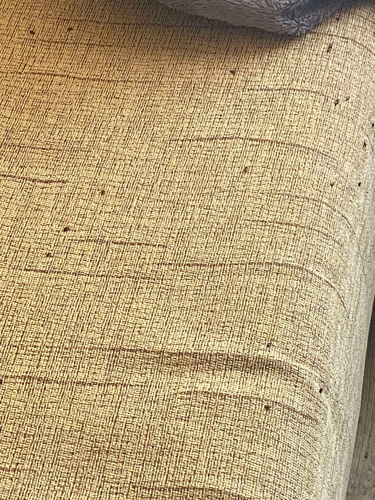 Bliskie ujęcie tapicerki z widocznymi śladami po szkodnikach. Usługa zwalczania insektów w meblach tapicerowanych w Warszawie.