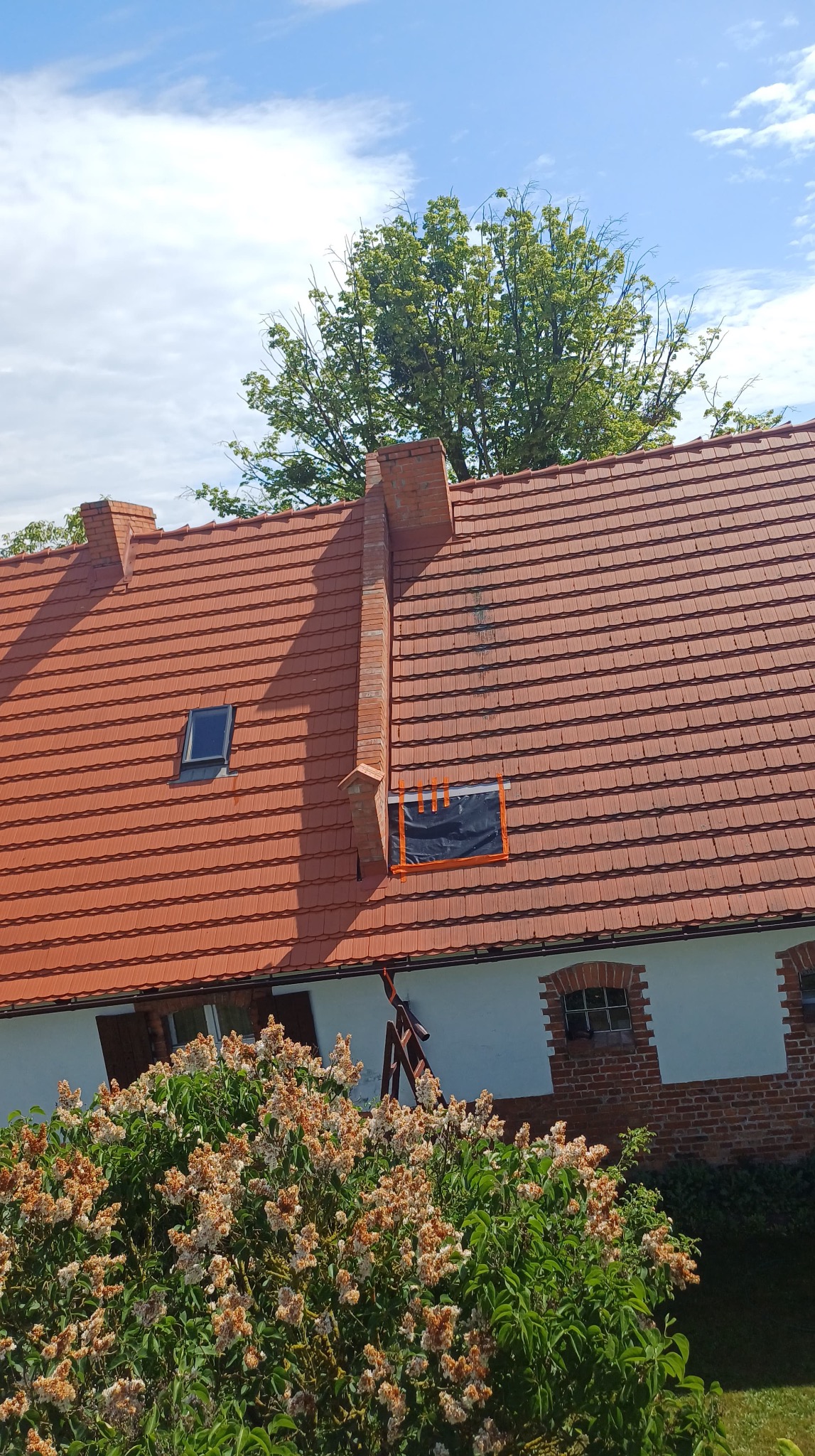Czerwona dachówka z oknem dachowym i zabezpieczonym otworem po oknie, widok z dołu na budynek z kwitnącymi krzewami i fragmentem drabiny.