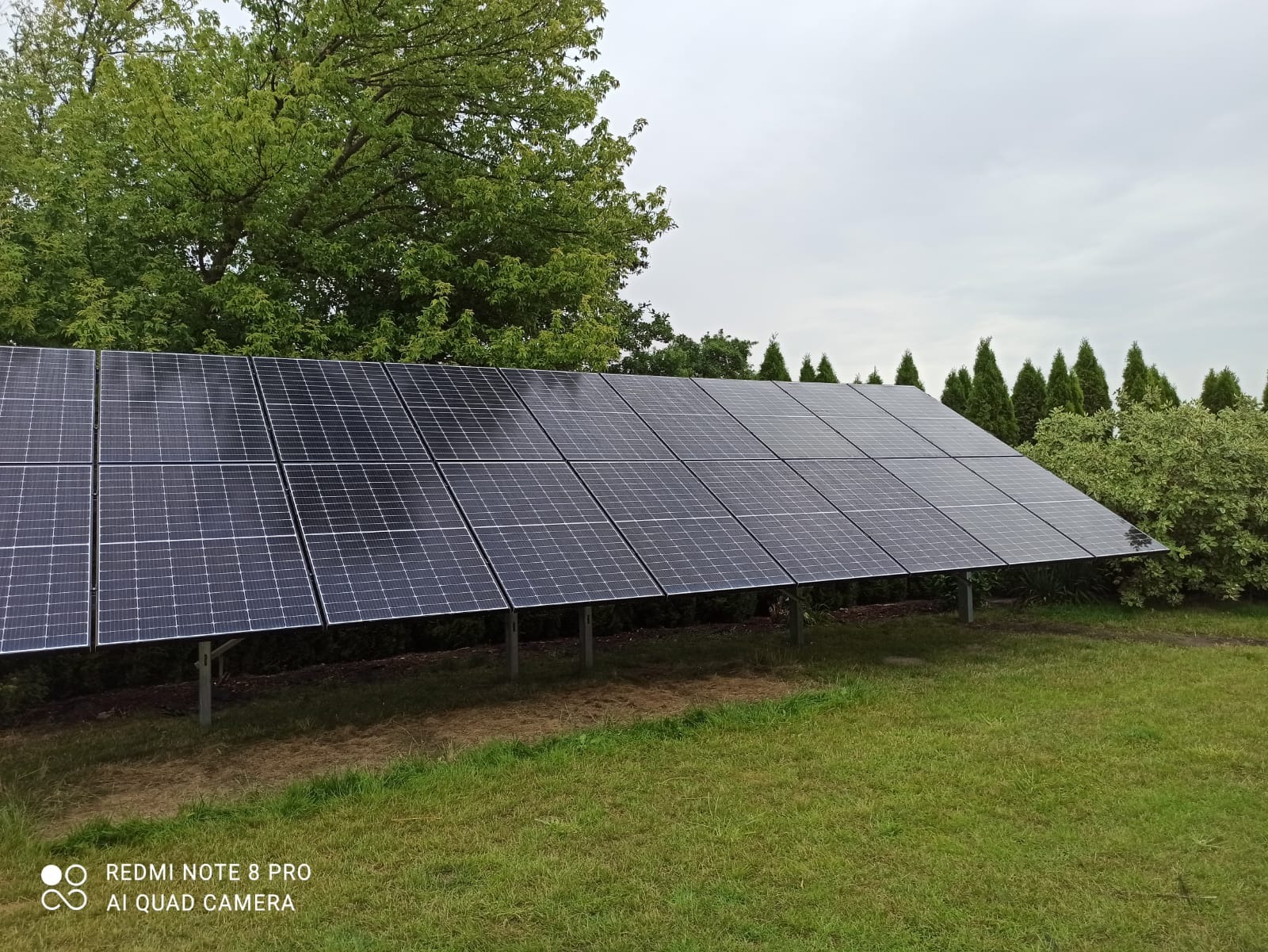 Rząd paneli fotowoltaicznych na trawniku, z drzewami w tle i pochmurnym niebem. Panele zamontowane na metalowych wspornikach, widoczne z bliskiej perspektywy.